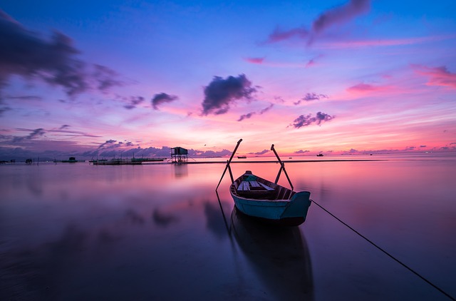 tropical light photo