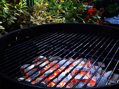grill photo