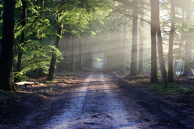 Photo by bertvthul light ray photo