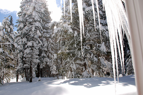 DSC_0159 by hillary h tahoe snowstorm photo