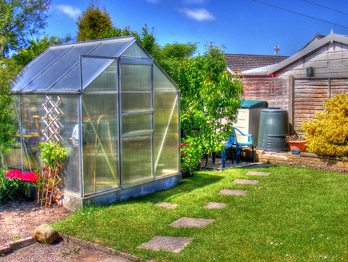greenhouse photo