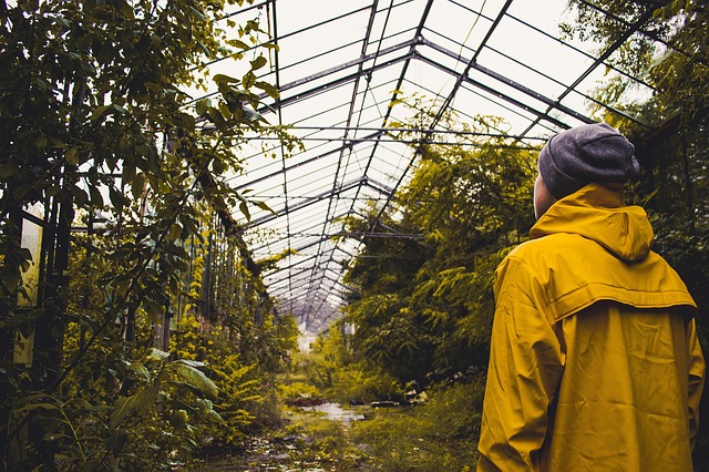 greenhouse photo