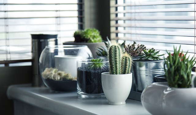glass window photo