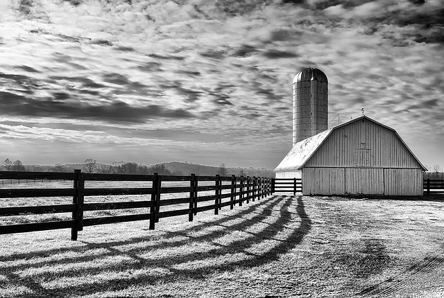 silo photo