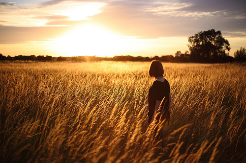 Sunlight by Brian Tomlinson sunlight photo