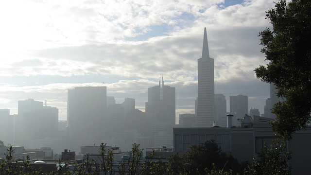 Photo by tealyea skyline san francisco photo