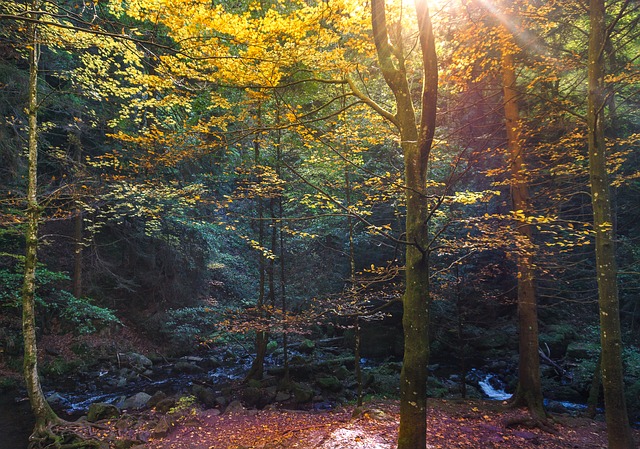 light beam photo