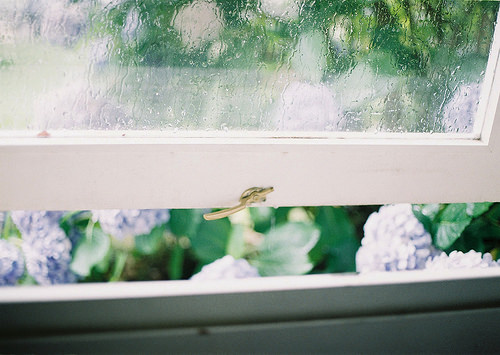 window film photo
