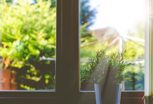 window sun photo