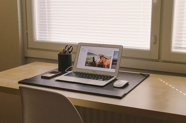Photo by Free-Photos window screen photo