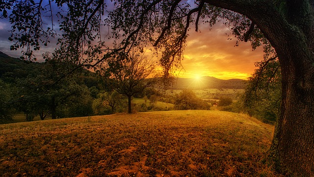 sun rays photo