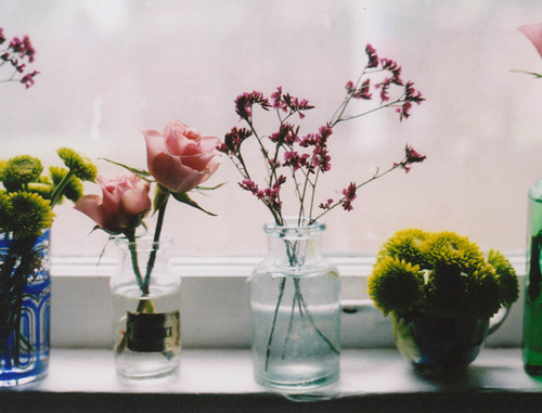 How to Have a Zen Experience with Window Film
