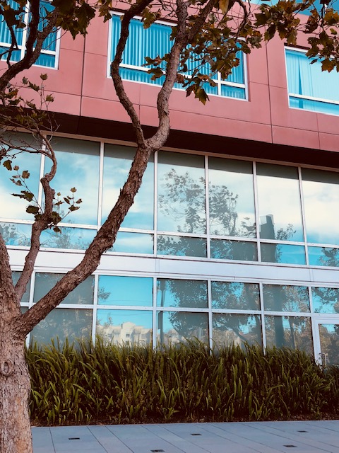 What Happens When a New Homeowner Installs Window Film?