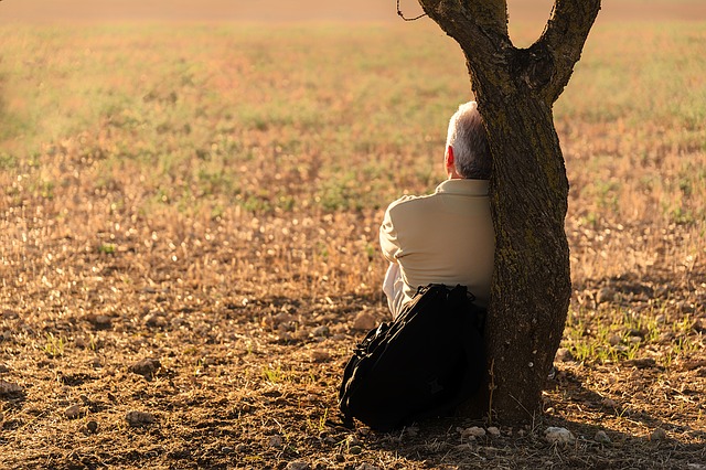Photo by josealbafotos resting photo