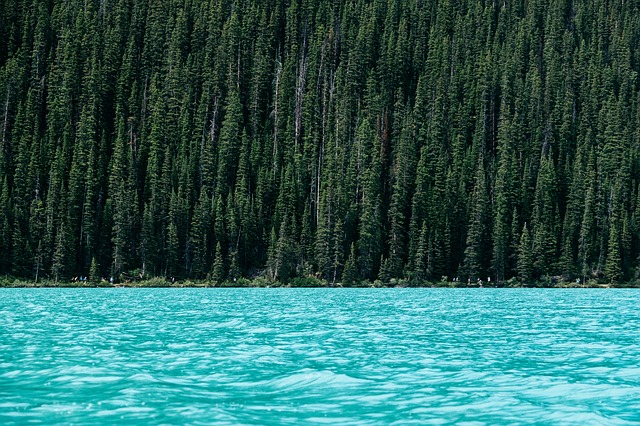 Photo by Pexels The Valuable Ways Window Film Can Change Your Life