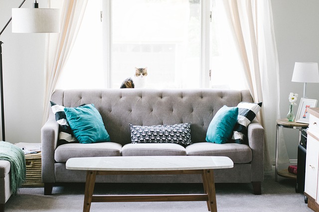 Photo by StockSnap windows photo